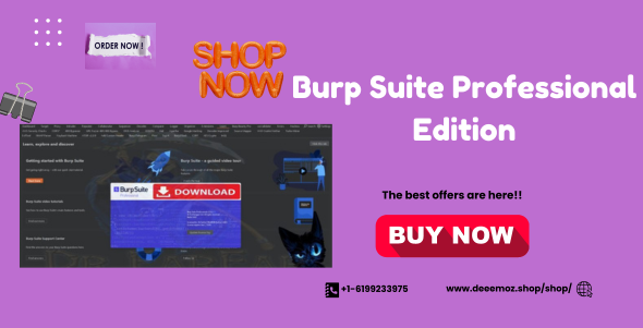 Burp Suite Professional Edition v2024.1.1.6 x64 Full Activated