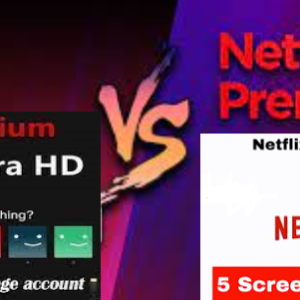 Netflix Premium 4K UHD 365 days 5 screens