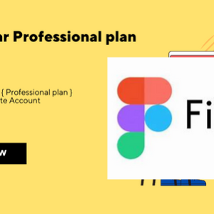 ✨ Figma 4 Year { Professional plan } ✨